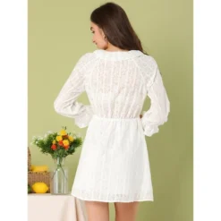 Allegra K Women's Vintage Ruffled Tie Neck Dresses Semi-Sheer A-Line Textured Mini Dress -Allegra K GUEST 125ac911 e02b 4e98 ab67 78dd1a5f8c23