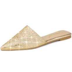 Allegra K Women's Slip On Glitter Heels Pointed Toe Slide Mules 12 Allegra K Women's Slip On Glitter Heels Pointed Toe Slide Mules -Allegra K GUEST 75339f68 da0e 4c17 98ad 98cc98b7d69c