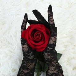 Allegra K Women's Full Finger Lace Floral Gloves -Allegra K GUEST 854e7b16 d1ba 4cda b85d a8c7628a0d67