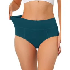 Allegra K Women's High Waist Available In Plus Size Tummy Control Briefs -Allegra K GUEST a4b79858 83e2 47e5 aadf 386496955813