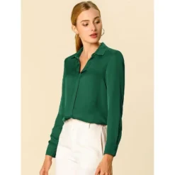 Allegra K Women's Elegant V Neck Long Sleeve Office Work Satin Blouse