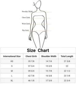 Allegra K Women's Rainbow Blouse Short Sleeve Mesh Sheer Stripe T-Shirt -Allegra K GUEST e5a427ff c430 42c3 bf8d 9e31490fc855